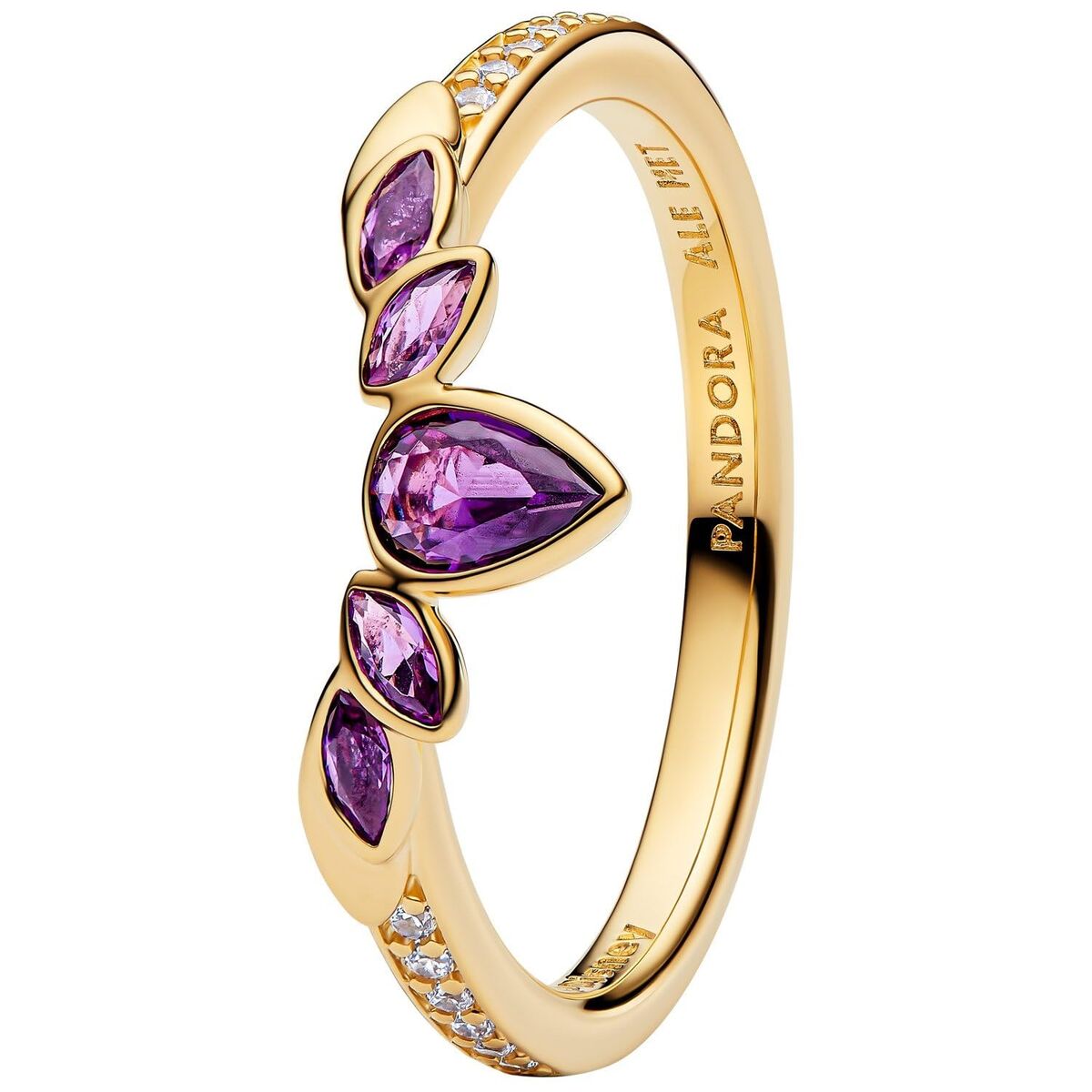 Ladies' Ring Pandora 164135C01-50 10 Golden