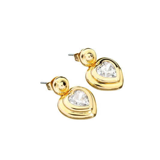 Ladies' Earrings Chiara Ferragni J19AXP04