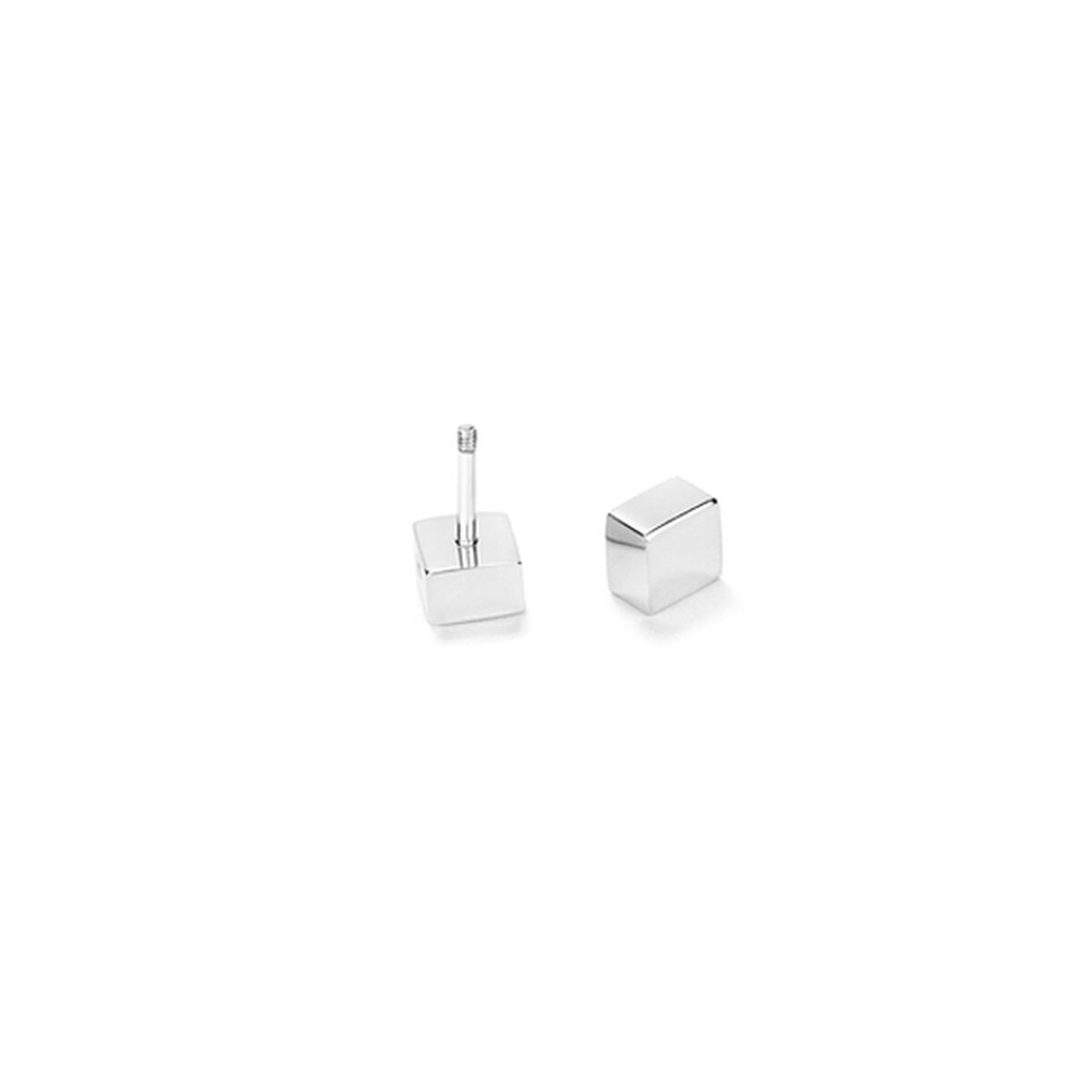 Ladies' Earrings Radiant RH000152