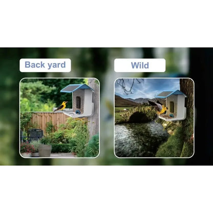 Smart Bird Feeder With Camera For Outside Bird Watching Feeder Camera AI Recognizes Bird Species With Solar Powered