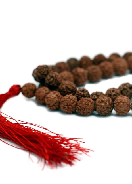 108 Rudraksha Mala - Brown