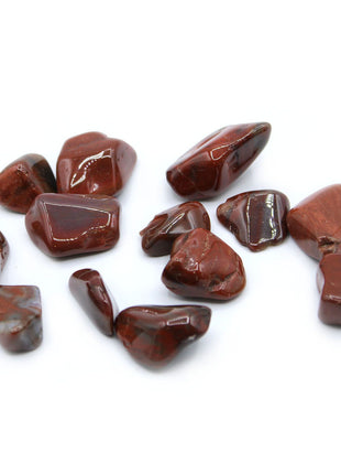 Pack of 24 L Tumble Stones - Petrified Wood L