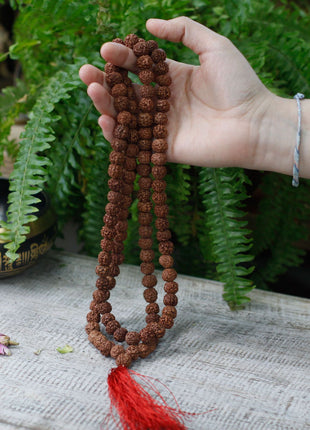 108 Rudraksha Mala - Brown