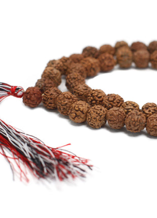 108 Rudraksha Mala - Natural
