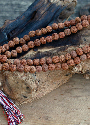 108 Rudraksha Mala - Natural