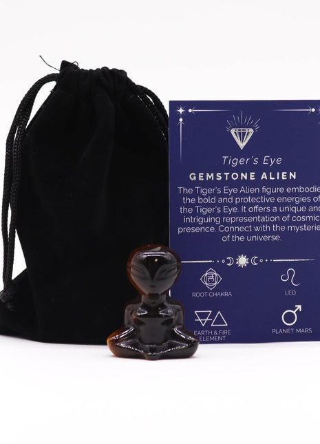 Gemstone Alien - Tiger Eye 40x30x15mm
