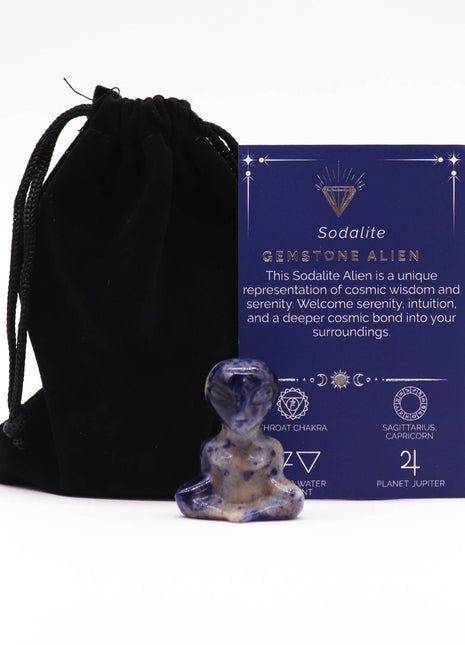 Gemstone Alien - Sodalite 40x30x15mm